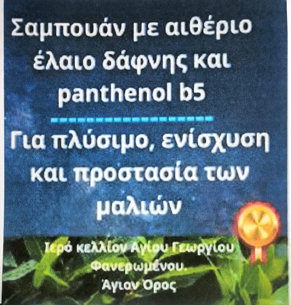 IMG20250929235459