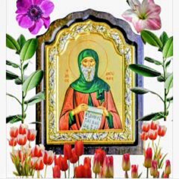 agiosantoniosagioritikacom 6